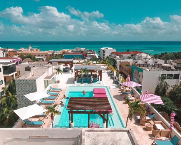 Hotel The Palm