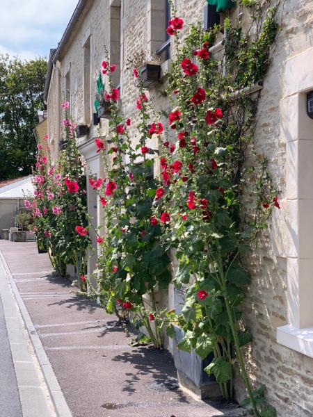 JunoGîte - Résidence