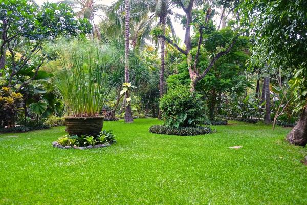 Villa Boreh Beach Resort and Spa