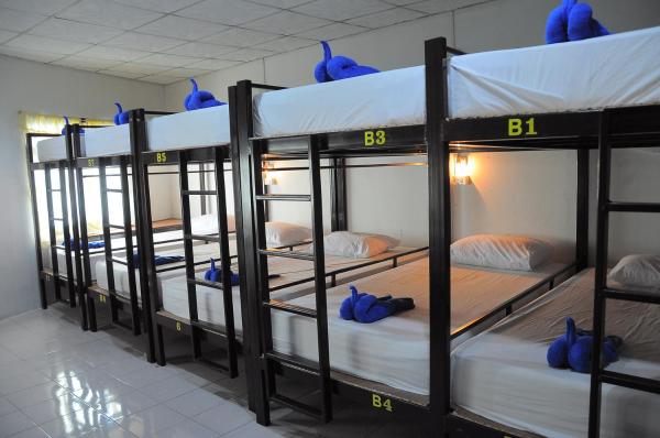 Mickey Hostel