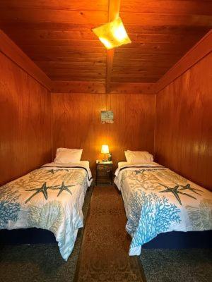 Curley's Resort & Dive Center