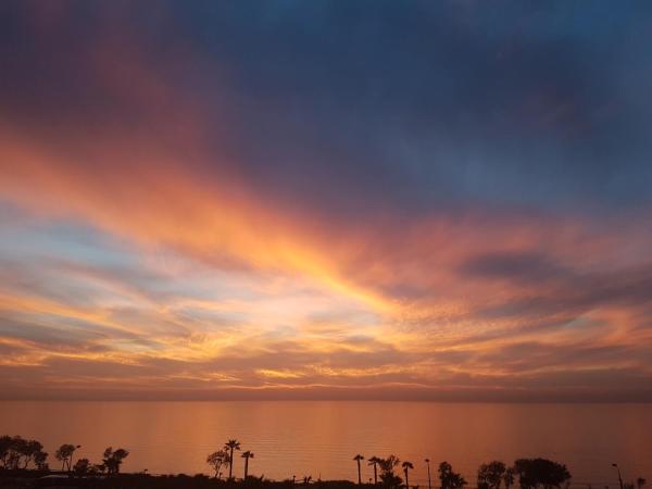 Luxury Apartments' in Netanya
