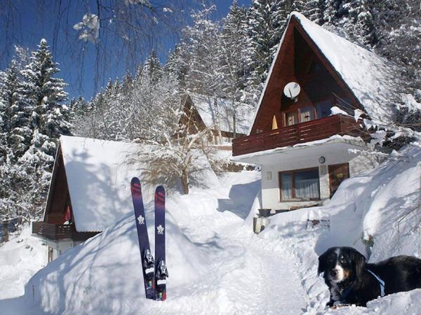 Small Pet-friendly Holiday Park With Nassfeld Card in High Season