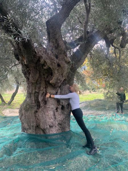 Villa Aurora, Забронировать Вилла Монтеджордано Калабрия