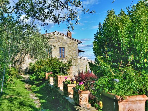 Spacious villa in Cortona with private pool