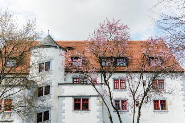 Schloss Liebenstein