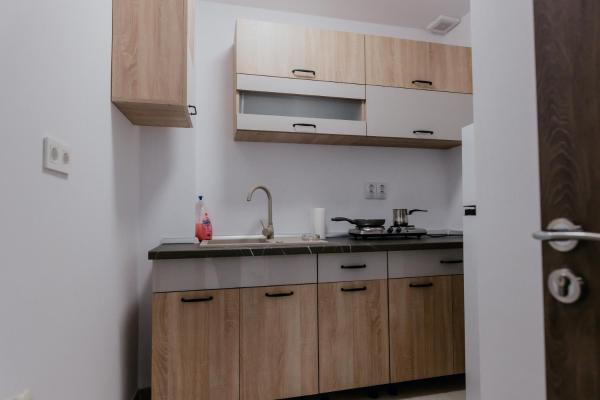 Aparthotel Plevnei2