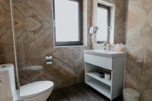 Aparthotel Plevnei2