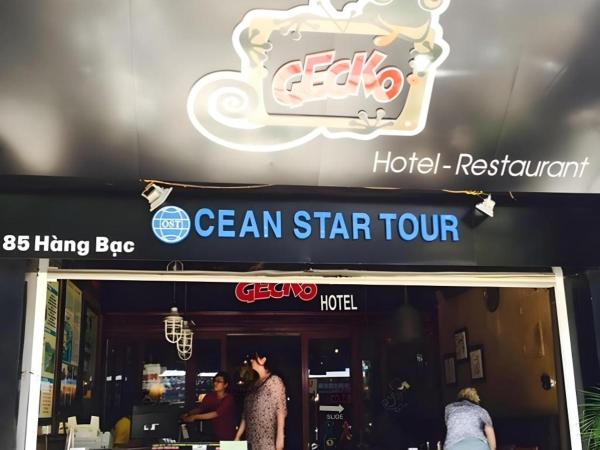 Gecko Garden Hostel