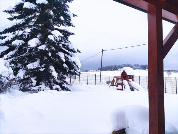 Ferienhaus am Hochficht Mühlviertel in Oberösterreich, Забронировать Вилла Freundorf 
