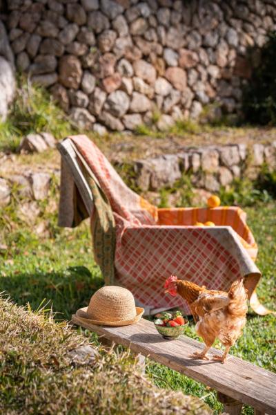 Agroturismo Son Viscos