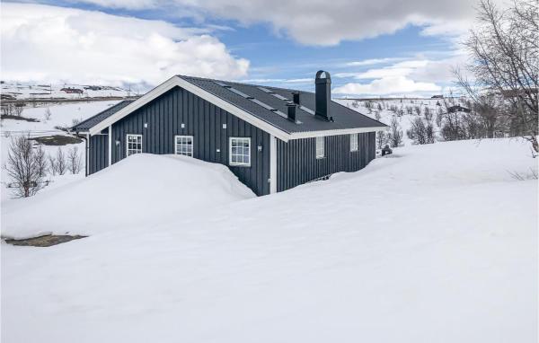 3 Bedroom Stunning Home In Uvdal, Забронировать Дом для отпуска Dagali Халлингдаль