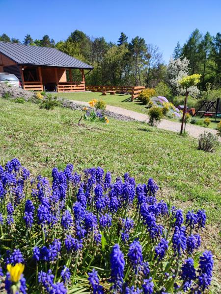 Roztocze, Domek Na Leśnym Wzgórzu nr2,Krasnobród,Zamość, Zwierzyniec, jacuzzi, Забронировать Дом для отпуска Адамув Люблинское воеводство