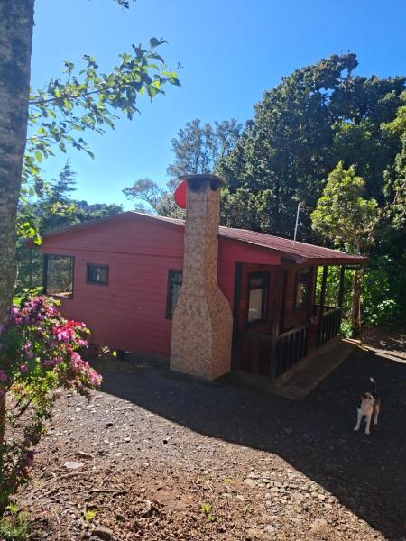 Las Bromelias Lodge, Забронировать Дом для отпуска Paso Macho Сан-Хосе