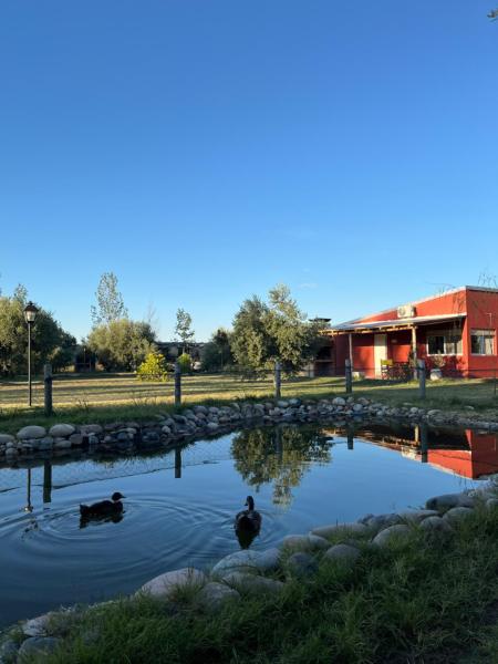 Finca La Calma, Забронировать Дом для отпуска Недорогие отели Сан-Рафаэля, недорогие