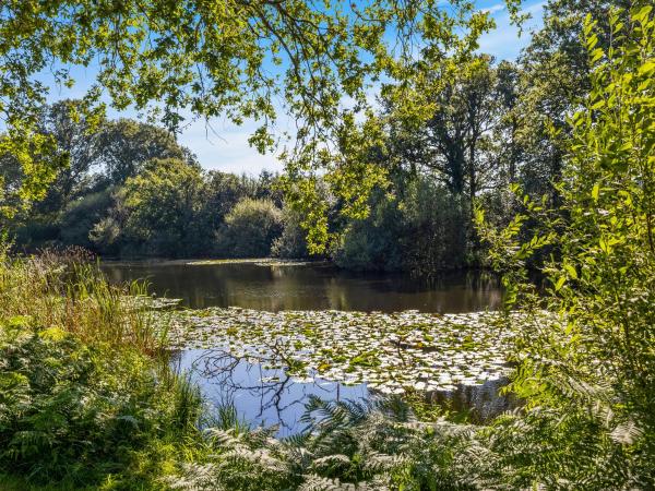 The Lodge At The Lake House, Забронировать Дом для отпуска Ifold Западный Суссекс