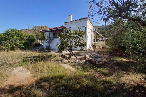 Elafonisos Detached House in Quiet Olive Grove, Starlink Internet & Smart Projector!
