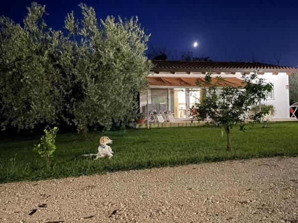 Villetta Bianca Pisticci-Matera, Забронировать Дом для отпуска Коттеджи Пистиччи, Коттедж