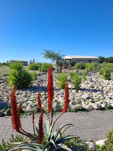 Thali Thali Game Lodge