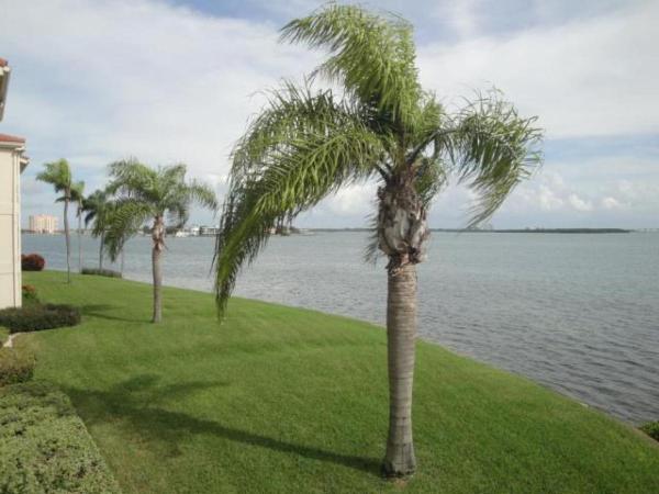 Palma Perfect Florida Getaway, Забронировать Дом для отпуска Отели Сент-Питерсберг с парковкой, Парковка