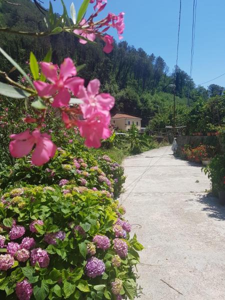 Casa Nonna Anna