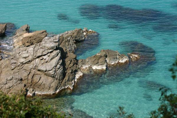 Room in Lodge - Briatico 2 min From the sea and 15 min From Tropea, Room With Kitchenette