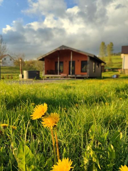 Family House Volosianka, Забронировать Дом для отпуска Виллы Карпаты - Украины, Вилла