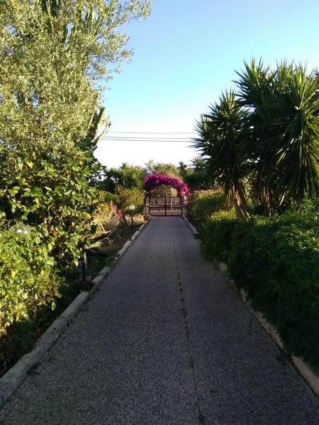 Bouganvillea