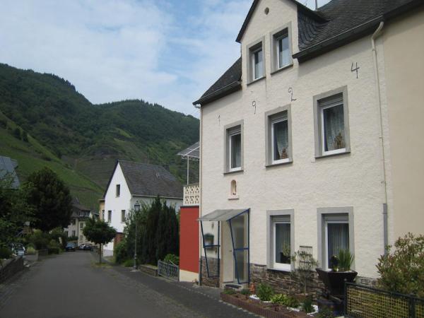 Holiday Home in Bremm Near the Vineyards