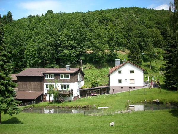 Apartment in Bruchhausen mit Terrasse