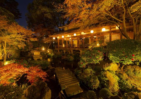 Shiragiku