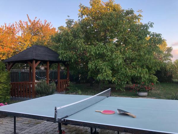 Sunny Garden