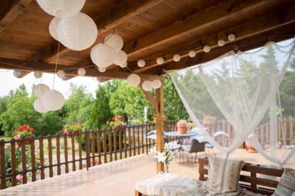 Sunny Garden