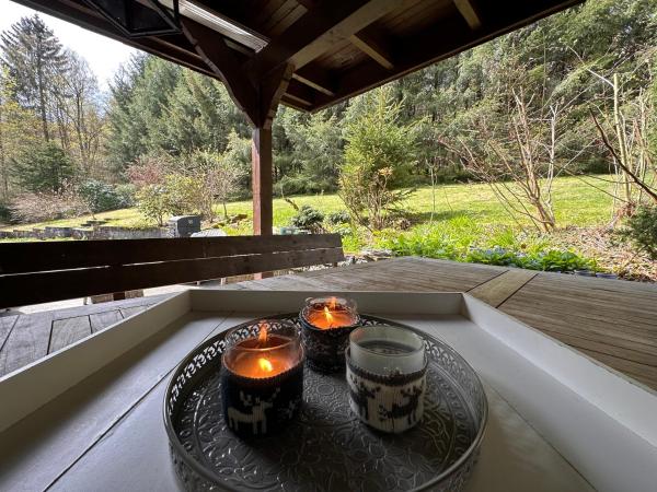 Charming Villa On The Forest In Wald 12 guests Hugh garden WILLINGEN SAUERLAND, Забронировать Вилла Коттеджи Брилон, Коттедж