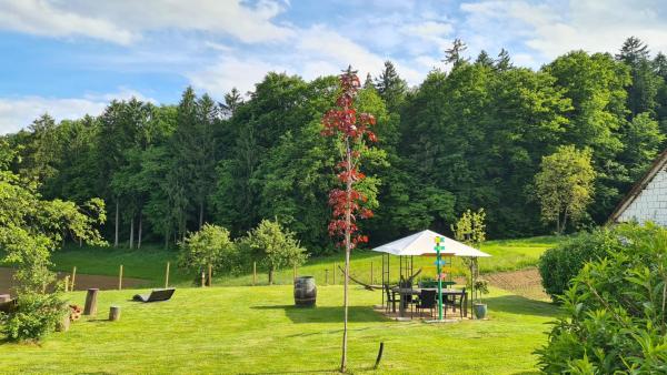 HOF-AREAL Südsteiermark Dein Ort für Poltergruppen & Hochzeiten, Забронировать Фермерский дом Отели Southern Styria с бассейном, Бассейн