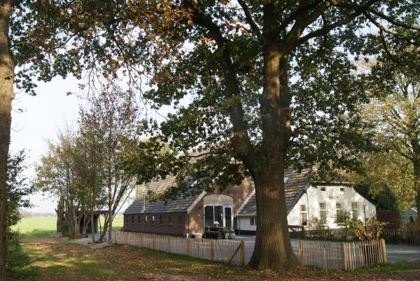 Eve Niets Hoeve