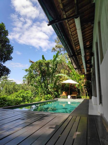 Villa Damai Shanti, Забронировать  Отели Убуд с бассейном, Бассейн