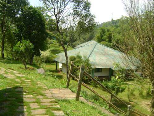 Orchard Holiday Resort