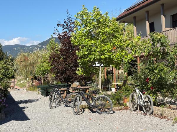 Lipizzaner Lodge Guest House