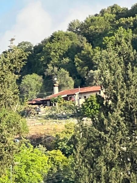 Despina country retreat, Забронировать  Пафос Пафос