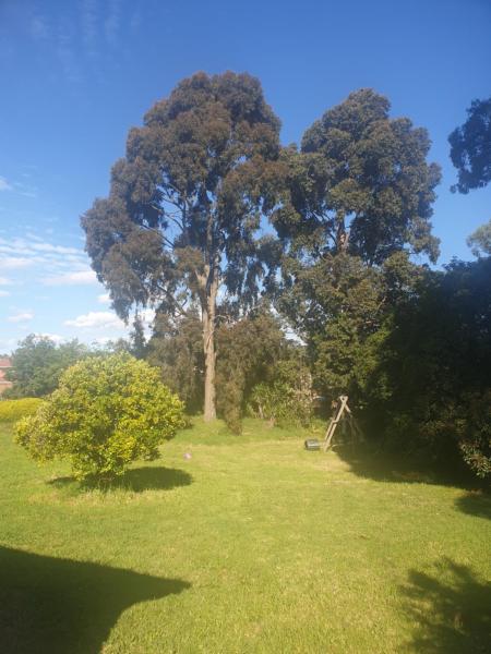Feel Country breeze, Забронировать  Роувилль Melbourne Region