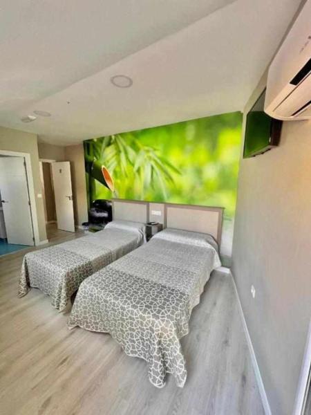 Hostal Viena Plaza Nueva
