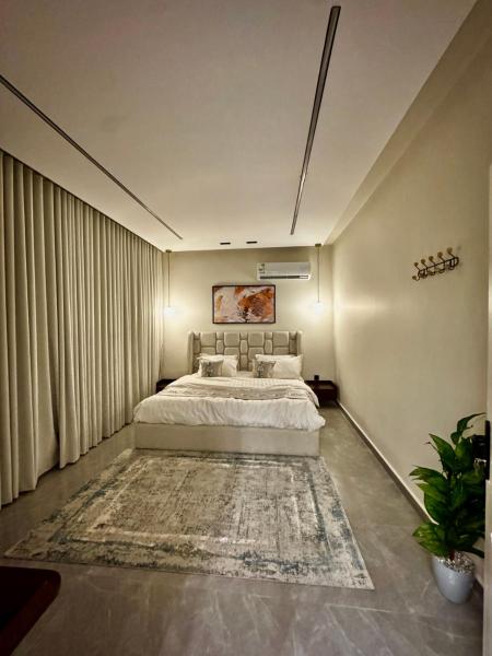 Elegant Apartment in Riyadh