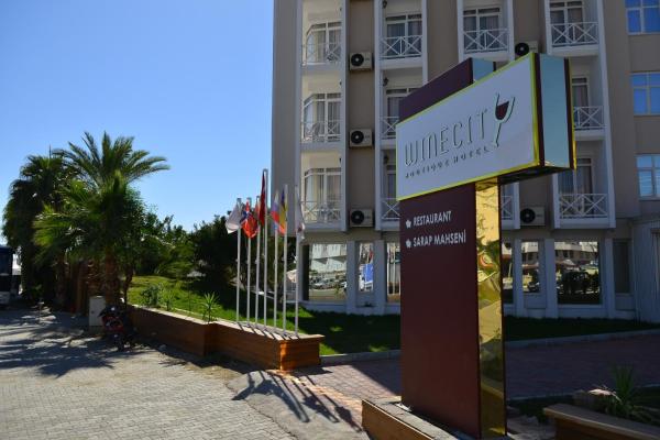 Отель Winecity