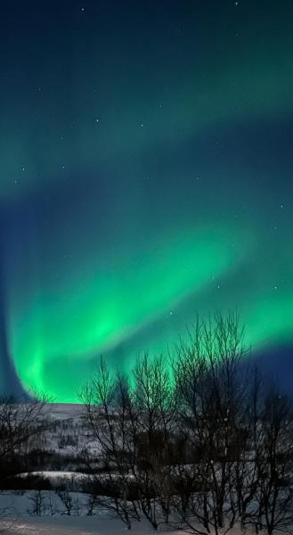 Tromsdalen Aurora Apartments, Забронировать Апартаменты/квартира Апартаменты Тромс и Финнмарк, Апартаменты/квартира