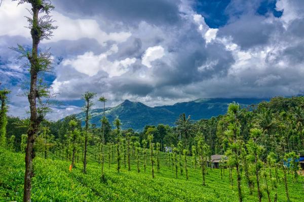 Ende Wayanad Resort, Забронировать  Отели Wayanad Region с парковкой, Парковка