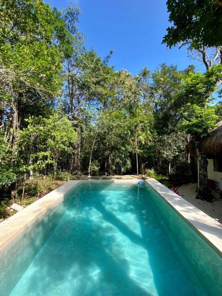 Blue Monkey Chemuyil, Забронировать  Чемуйиль Ривьера-Майя