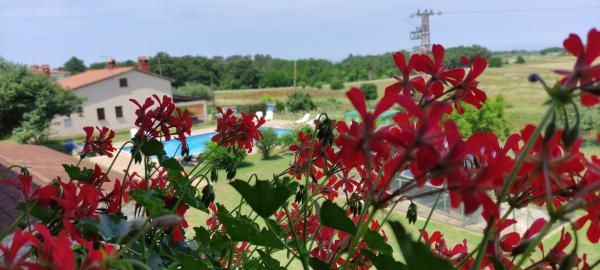 Moratto\s Apartments, Забронировать Апартаменты/квартира Умаг Umag Riviera