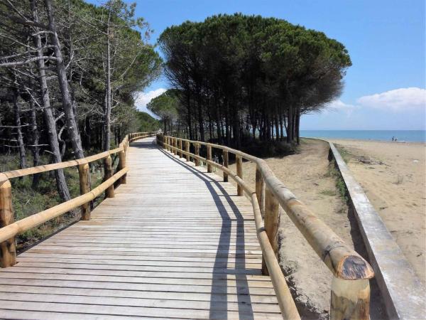 Apartments in Bibione 36525