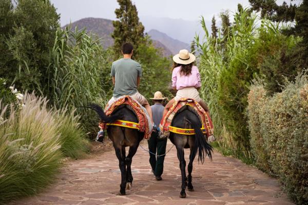 Kasbah Tamadot - Sir Richard Bransons Moroccan Retreat